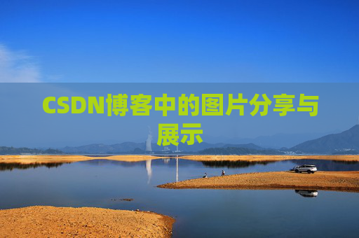 CSDN博客中的图片分享与展示